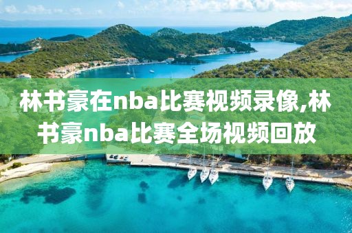 林书豪在nba比赛视频录像,林书豪nba比赛全场视频回放