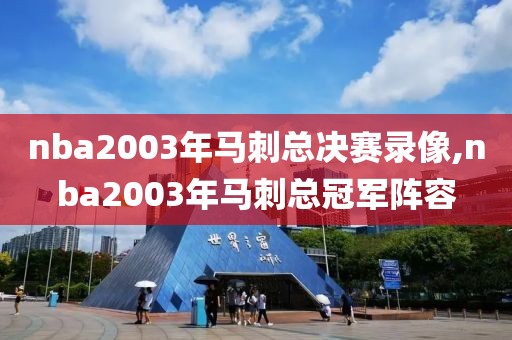 nba2003年马刺总决赛录像,nba2003年马刺总冠军阵容