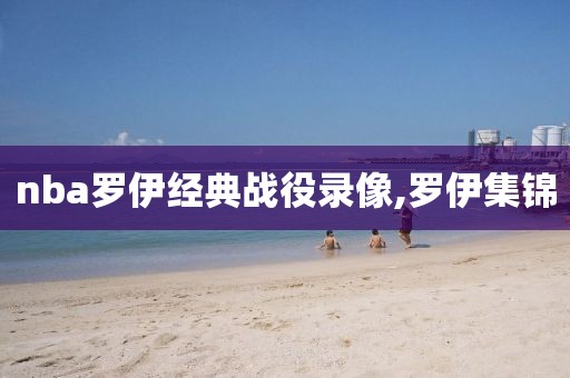 nba罗伊经典战役录像,罗伊集锦