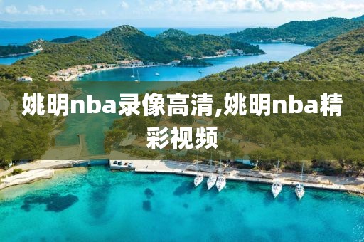 姚明nba录像高清,姚明nba精彩视频