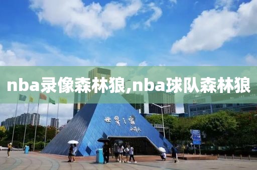 nba录像森林狼,nba球队森林狼