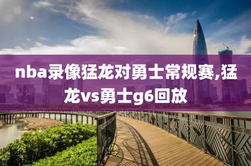 nba录像猛龙对勇士常规赛,猛龙vs勇士g6回放