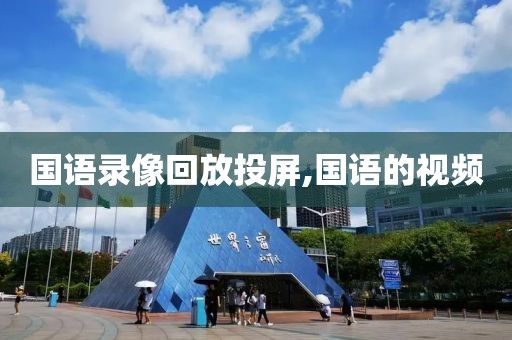 国语录像回放投屏,国语的视频