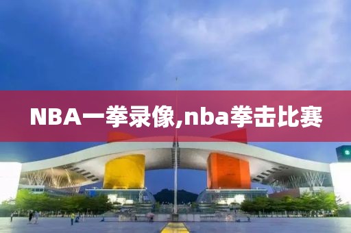 NBA一拳录像,nba拳击比赛