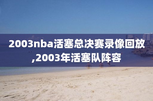 2003nba活塞总决赛录像回放,2003年活塞队阵容