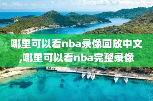哪里可以看nba录像回放中文,哪里可以看nba完整录像
