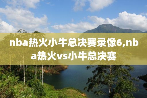 nba热火小牛总决赛录像6,nba热火vs小牛总决赛