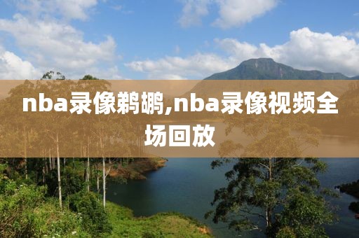 nba录像鹈鹕,nba录像视频全场回放