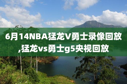 6月14NBA猛龙V勇士录像回放,猛龙vs勇士g5央视回放