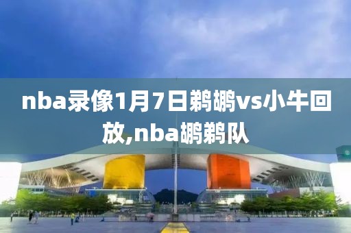 nba录像1月7日鹈鹕vs小牛回放,nba鹕鹈队