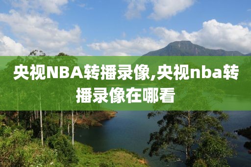 央视NBA转播录像,央视nba转播录像在哪看