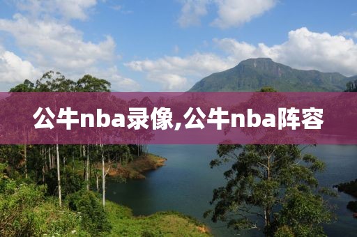 公牛nba录像,公牛nba阵容