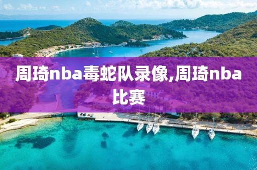 周琦nba毒蛇队录像,周琦nba比赛