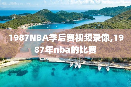 1987NBA季后赛视频录像,1987年nba的比赛