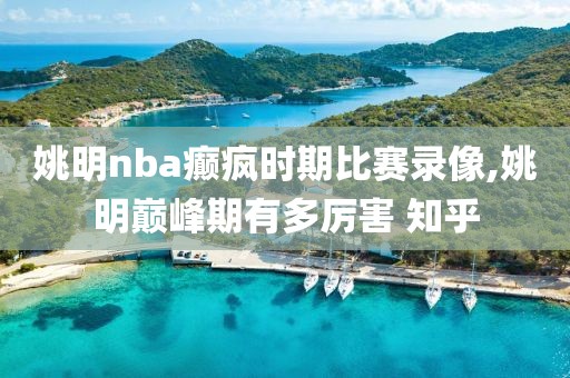 姚明nba癫疯时期比赛录像,姚明巅峰期有多厉害 知乎