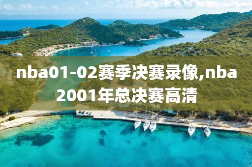 nba01-02赛季决赛录像,nba2001年总决赛高清