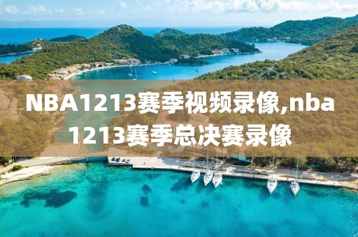 NBA1213赛季视频录像,nba1213赛季总决赛录像