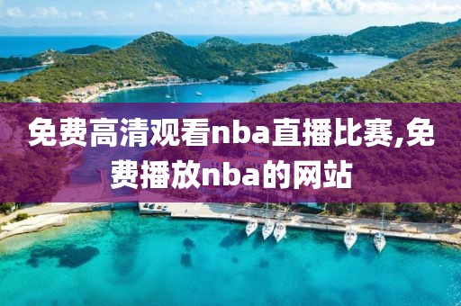 免费高清观看nba直播比赛,免费播放nba的网站