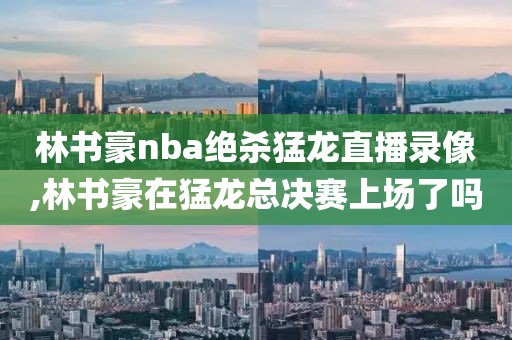 林书豪nba绝杀猛龙直播录像,林书豪在猛龙总决赛上场了吗