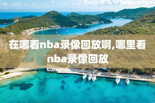 在哪看nba录像回放啊,哪里看nba录像回放