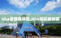 nba录像森林狼,nba球队森林狼