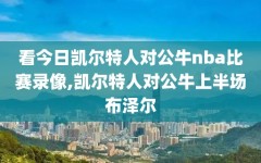 看今日凯尔特人对公牛nba比赛录像,凯尔特人对公牛上半场布泽尔