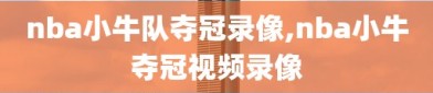 nba小牛队夺冠录像,nba小牛夺冠视频录像