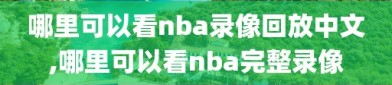 哪里可以看nba录像回放中文,哪里可以看nba完整录像