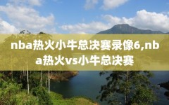 nba热火小牛总决赛录像6,nba热火vs小牛总决赛