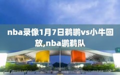 nba录像1月7日鹈鹕vs小牛回放,nba鹕鹈队