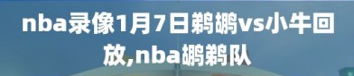 nba录像1月7日鹈鹕vs小牛回放,nba鹕鹈队