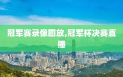 冠军赛录像回放,冠军杯决赛直播