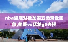 nba雄鹿对猛龙第五场录像回放,雄鹿vs猛龙g5央视