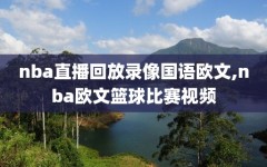 nba直播回放录像国语欧文,nba欧文篮球比赛视频