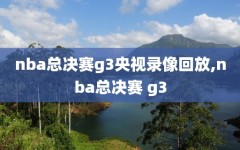 nba总决赛g3央视录像回放,nba总决赛 g3