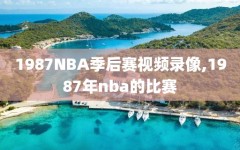 1987NBA季后赛视频录像,1987年nba的比赛