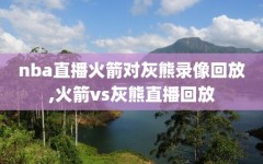 nba直播火箭对灰熊录像回放,火箭vs灰熊直播回放