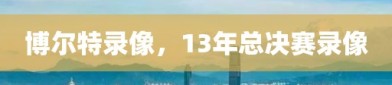 博尔特录像，13年总决赛录像