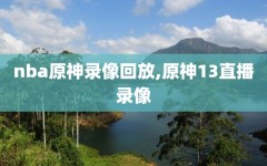 nba原神录像回放,原神13直播录像