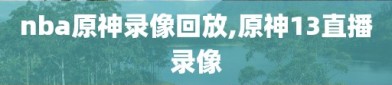 nba原神录像回放,原神13直播录像