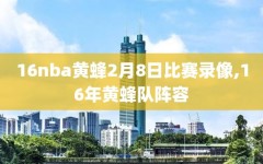 16nba黄蜂2月8日比赛录像,16年黄蜂队阵容