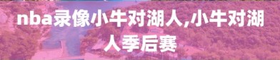 nba录像小牛对湖人,小牛对湖人季后赛