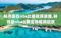 林书豪在nba比赛视频录像,林书豪nba比赛全场视频回放
