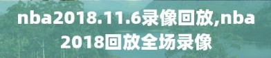 nba2018.11.6录像回放,nba2018回放全场录像