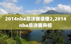 2014nba总决赛录像2,2014nba总决赛央视
