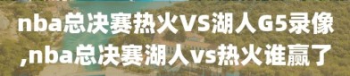 nba总决赛热火VS湖人G5录像,nba总决赛湖人vs热火谁赢了