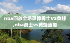 nba回放全场录像勇士VS黄蜂,nba勇士vs黄蜂直播