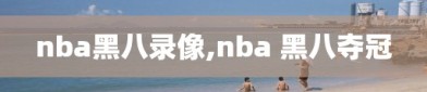 nba黑八录像,nba 黑八夺冠