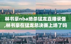 林书豪nba绝杀猛龙直播录像,林书豪在猛龙总决赛上场了吗