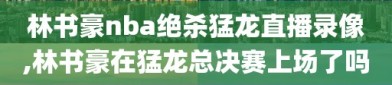 林书豪nba绝杀猛龙直播录像,林书豪在猛龙总决赛上场了吗